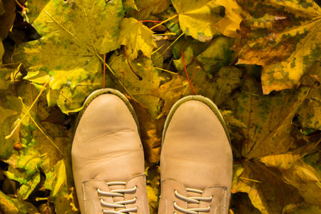 Autumn season in hipster style shoes.