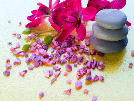 Spa pink orchid with massage stones on blue wooden backgroundの写真素材
