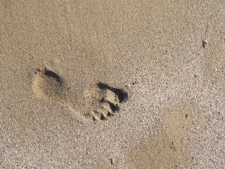 Footprint on the sand beach, on the beach in the summer track of a manの写真素材