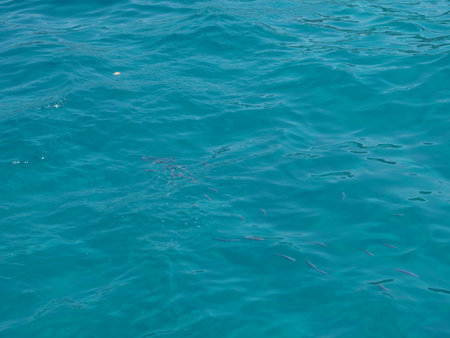 Water surface clean texture background, smooth texture of the water.