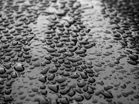 Water drops on glass. Rain droplets on glass background.の写真素材