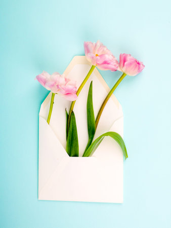 yellow tulips on a blue textural background with a letter envelope. Flat lay, copy space, top view....