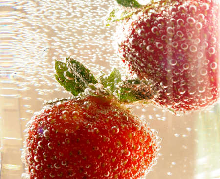Sparkling wine champagne and strawberry on a white backgroundの写真素材
