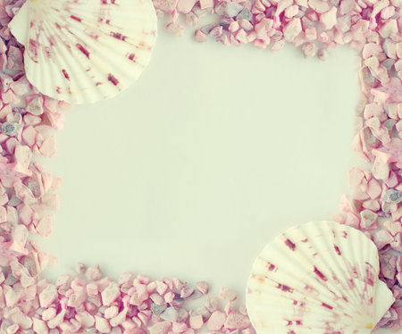pink shell and stone frame, space for design and text.