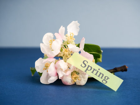 Apple blossom on a blue background. Greeting card with branches of apple blossom on a blue...