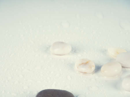 white stones and water drops on a white background as a backing.の写真素材