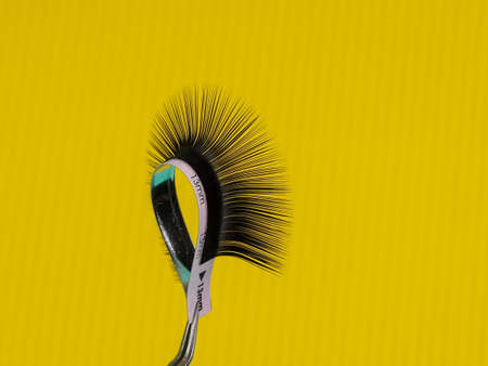 strip for eyelash extensions on a uniform tone, twisted, held with tweezers.の写真素材
