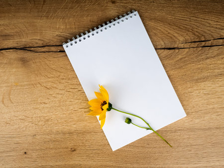 one field flower is lying on a wooden table next to a notebook an empty mockup.