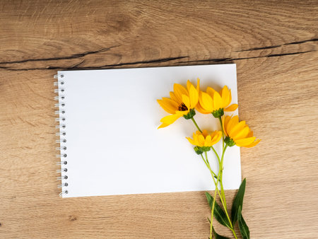 one field flower is lying on a wooden table next to a notebook an empty mockup.の写真素材