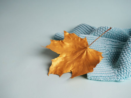 autumn minimalist composition, Golden maple leaf on a blue knitted sweater.