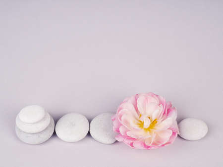 Spa still life with zen stones and flower, Harmony and balance, cairns, simple poise stones on gray background, rock zen sculpture.の写真素材