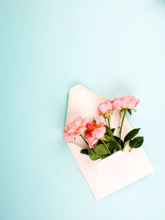 Flower series. Soft purple rose flower with green leaves on envelope on white background. rose flower with green leaves on craft envelope on white backgroundの写真素材