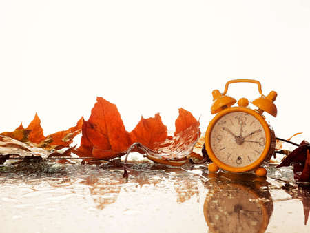 Autumn concept. Alarm clock black on a background of yellow fallen foliage. Fall season.の写真素材