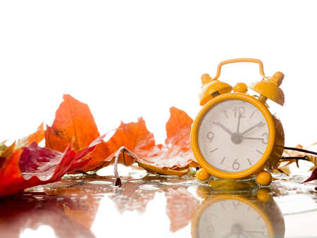 Autumn concept. Alarm clock black on a background of yellow fallen foliage. Fall season.の写真素材