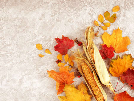 Autumn composition with leaves on white concrete background. Flat lay, copy spaceの写真素材