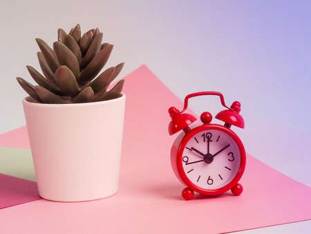 Alarm Clock, Note Pad, Pen and Potted Plant on Multi Colored Background.の写真素材