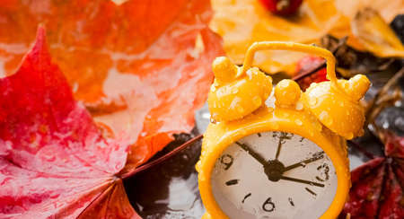 Autumn concept. Alarm clock black on a background of yellow fallen foliage. Fall season.の写真素材