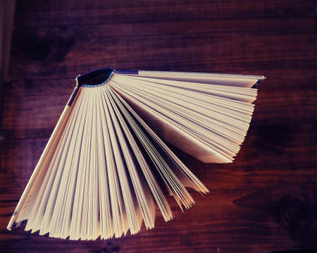 open book, many sheets of fans top view, as a background for the design.の写真素材