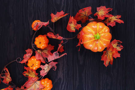 Autumn foliage with decorative pumpkins on wood.の写真素材
