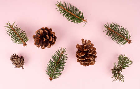 Flat Lay Christmas Background With Ornaments. Top view of pine cones arranged on pink backdrop.の写真素材