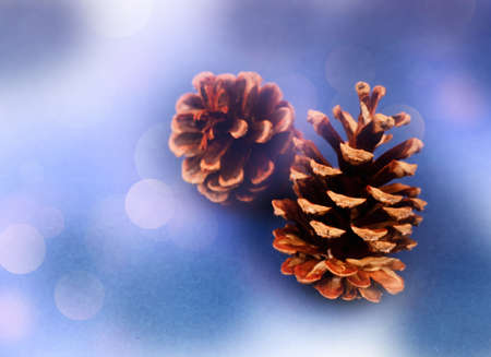 Flat Lay Christmas Background With Ornaments. Top view of pine cones arranged on blue backdrop.の写真素材