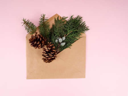 Christmas tree in envelope, minimal New Year s card. Spruce branch on pink background. Holidays, Congratulation concept.の写真素材
