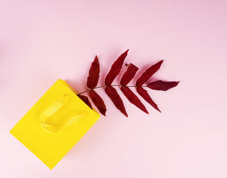 autumn concept, Paper bag with autumn dried flowers and leaves on pink background