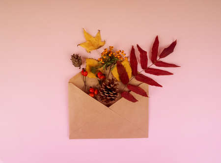Autumn composition. Envelope with dried flowers and leaves on pastel pink background. Autumn, fall concept. Flat lay, top view.の写真素材