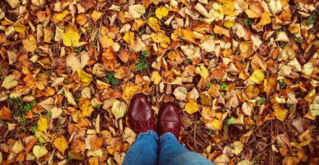 banner for web Fall, autumn, leaves, legs and shoes. Conceptual image of legs boots on the autumn leaves. Feet shoes walking in nature.の写真素材