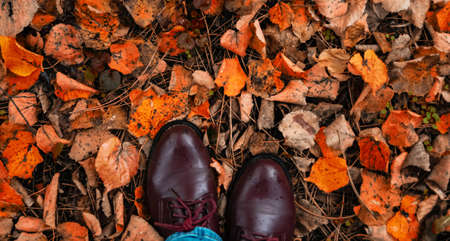 banner for web Fall, autumn, leaves, legs and shoes. Conceptual image of legs boots on the autumn leaves. Feet shoes walking in nature.の写真素材