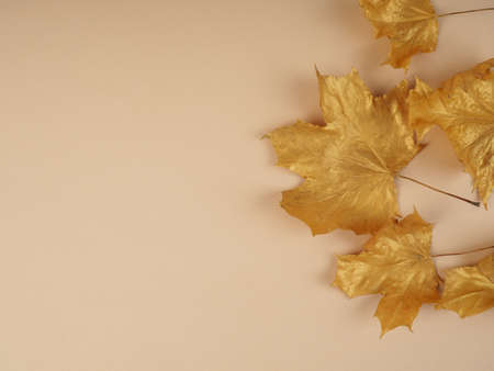 Flat lay creative autumn composition. Golden leaves on beige background top view copy space. Fall concept. Autumn background. Minimal concept idea, floral designの写真素材