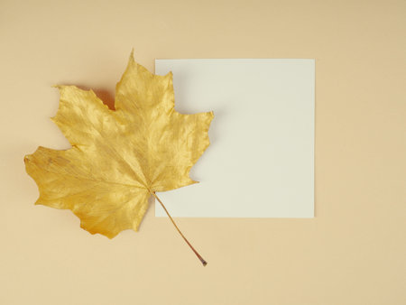 Flat lay creative autumn composition. Golden leaves on beige background top view copy space. Fall...