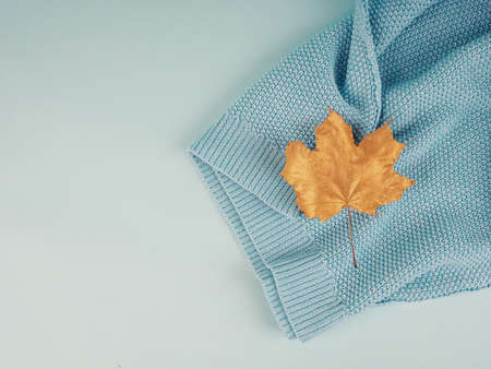 Flat lay creative autumn composition. Golden leaves on beige background top view copy space. Fall concept. Autumn background. Minimal concept idea, floral designの写真素材