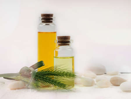 two bottles of cosmetic oil on a white background next to pebbles. the concept of health, Spa. Essential Oil on White Backgroundの写真素材