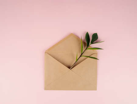 Kraft envelope on a pink background, in the envelope a branch of a green plant. Minimalism.の写真素材
