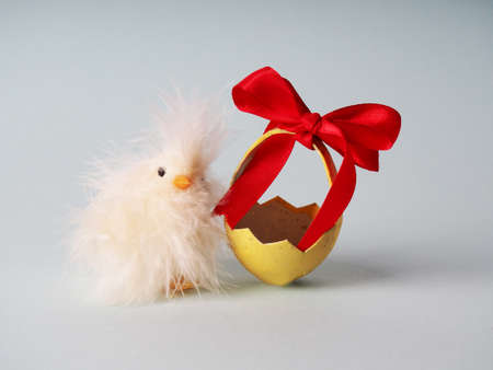 Small white chicken next to colored eggs for Easter.の写真素材