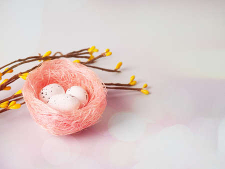 Colorful eggs in a colorful nest, nearby branches, a bright Easter card.の写真素材