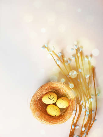 Colorful eggs in a colorful nest, nearby branches, a bright Easter card.の写真素材