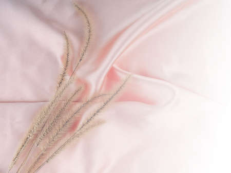 A few branches of dry grass, pampas grass on a pink silk cloth.の写真素材