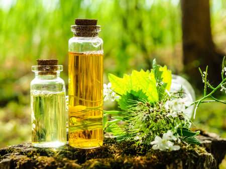 Organic bio alternative medicine, Herbal medicine., bottles of healthy essential oil or infusion and dry medicinal herbsの写真素材