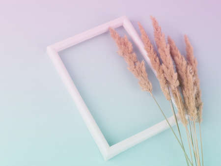 Close-up of a bouquet of dried spikelets on a pastel blue background next to a white frameの写真素材