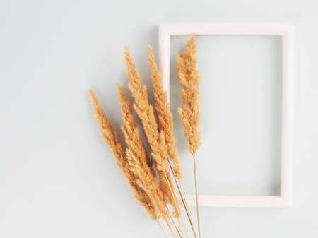 Close-up of a bouquet of dried spikelets on a pastel blue background next to a white frameの写真素材