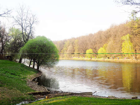 Spring landscape, view of the river and the forestの写真素材