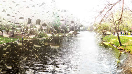 Spring landscape, view of the river and forest through the glass with raindropsの写真素材