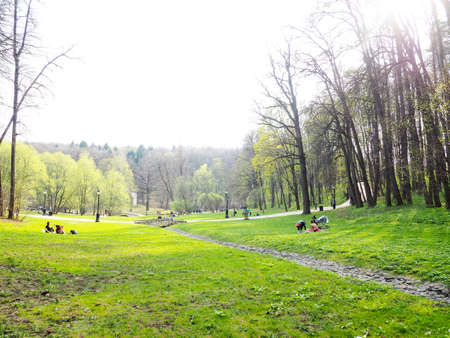 Spring day people are resting in the park between the treesの写真素材