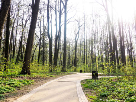 New pathway and beautiful trees track for running or walking and cycling relax in the park on green grass field on the side of the golf course. Sunlight and flare background conceptの写真素材