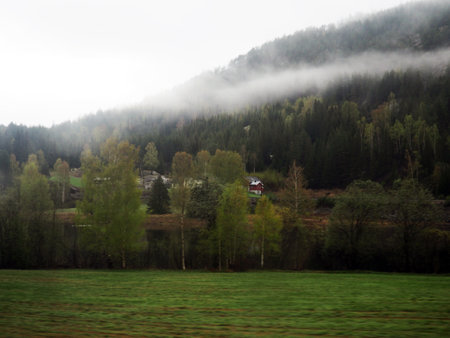 Gloomy landscape with fog on the Norwegian fjords, the road through the village.の写真素材