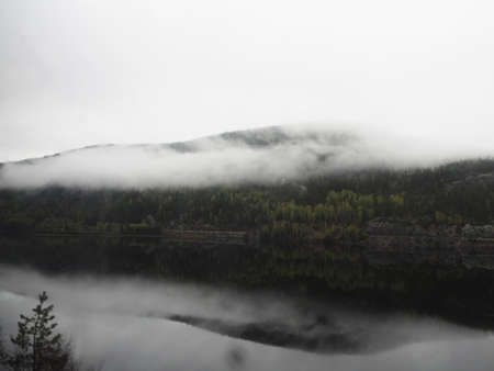 Gloomy landscape with fog on Norwegian fjords.の写真素材