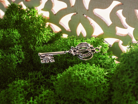 One carved antique key lies on the moss and a carved trellis, light through it.
