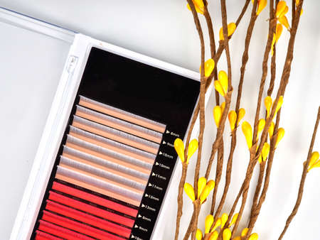 Composition of colored eyelashes for extension with flowers, two-color pallets.の写真素材